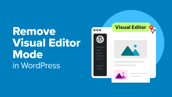 Remove Visual Editor Mode in WordPress Remove Visual Editor Mode in WordPress