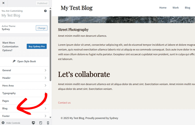 Adding post excerpts to a WordPress theme using the Customizer Adding post excerpts to a WordPress theme using the Customizer