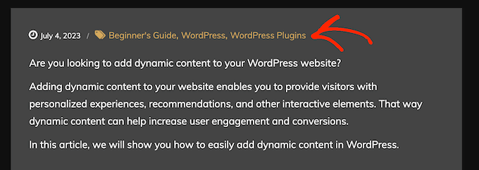 Nur die Unterkategorien in der WordPress-Beitragschleife anzeigen