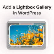 Come aggiungere una galleria in WordPress con effetto lightbox