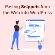 Guida per principianti all'inserimento di snippet dal web in WordPress