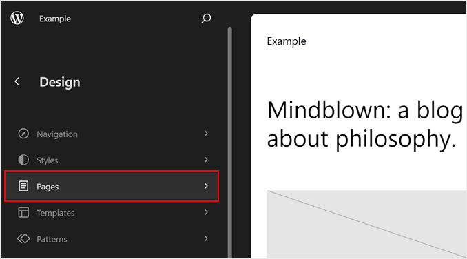 Escolhendo Páginas no Editor de Site Completo