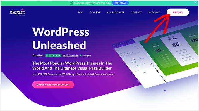 Elegant Themes Divi Coupon Deal