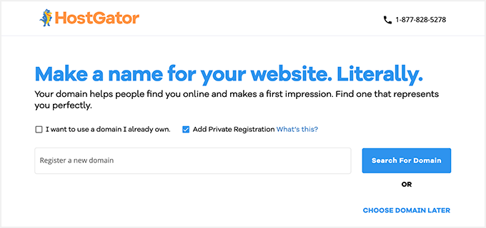 Välj ditt kostnadsfria domännamn