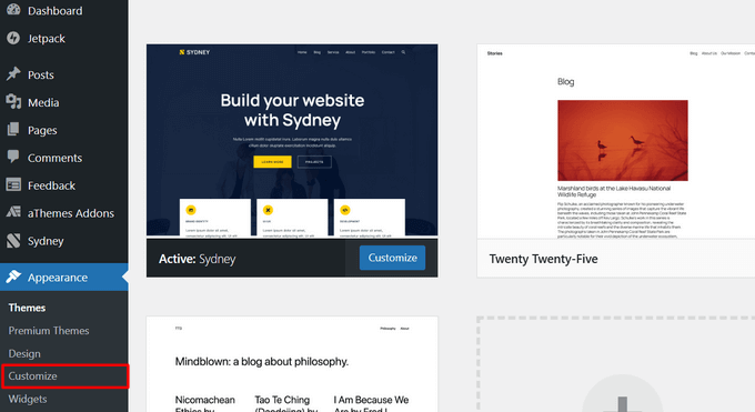 The WordPress theme customizer