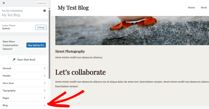 Adding post meta data using the WordPress theme customizer Adding post meta data using the WordPress theme customizer