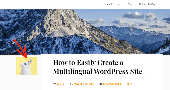 Cómo mostrar Gravatares en cualquier ubicación de tu sitio web de WordPress
