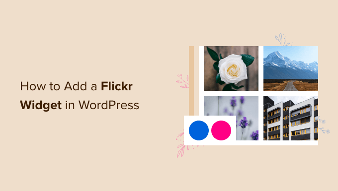 How to add a Flickr widget in WordPress How to add a Flickr widget in WordPress