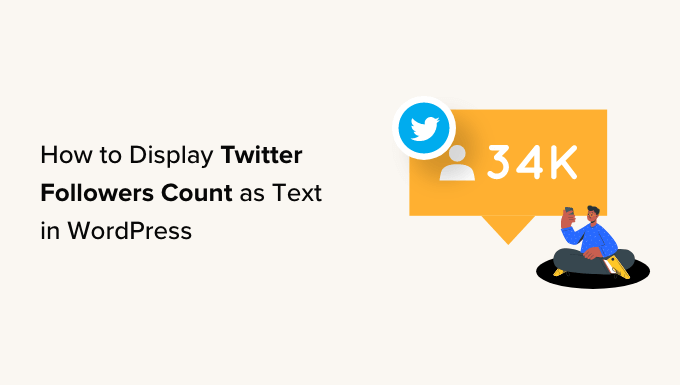 How to display Twitter followers count as text in WordPress How to display Twitter followers count as text in WordPress