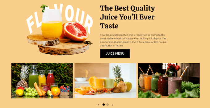 An example of a slider, created using SeedProd An example of a slider, created using SeedProd