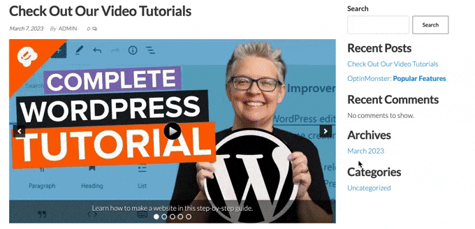 An example of a WordPress slider, created using SeedProd An example of a WordPress slider, created using SeedProd