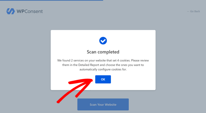 Completed WPConsent scan Completed WPConsent scan