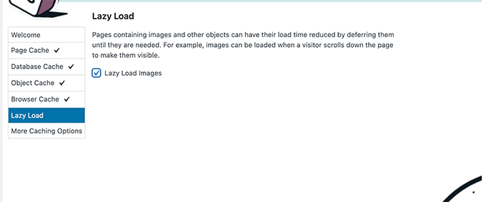Enable Lazy Loading Enable Lazy Loading