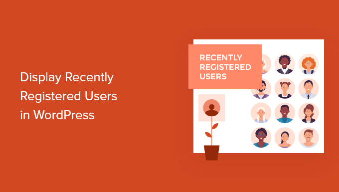 Cómo mostrar usuarios registrados recientemente en WordPress (3 formas)