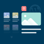 How to Add Sticky Posts for Categories in WordPress
