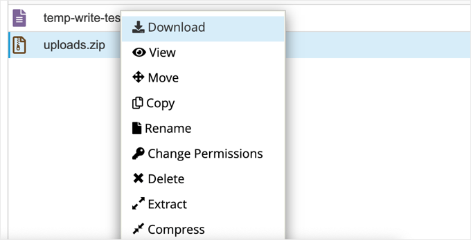 Downloading the Uploads Zip File Using the cPanel File Manager