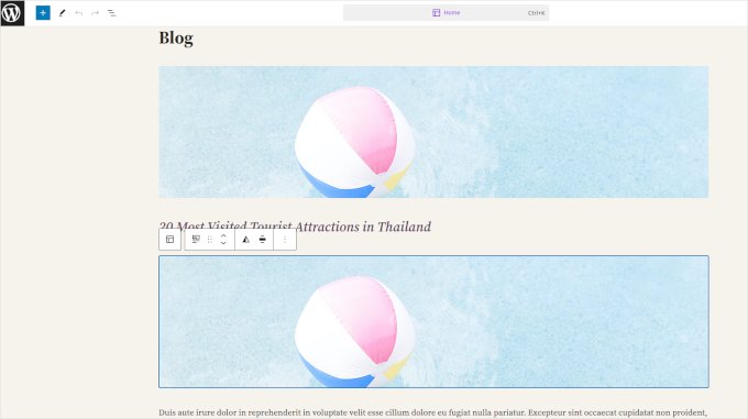 Bloques duplicados de imagen destacada en el editor del sitio