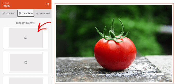 SeedProd bildstilsmallar