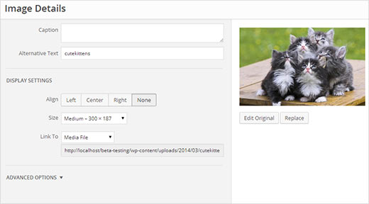 Modifier une image tout en travaillant dans l'éditeur visuel de publication