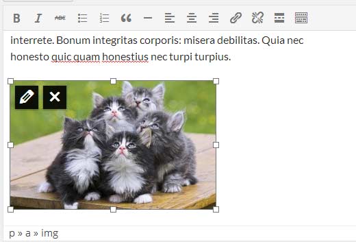 Redimensionner les images dans l'éditeur de publication