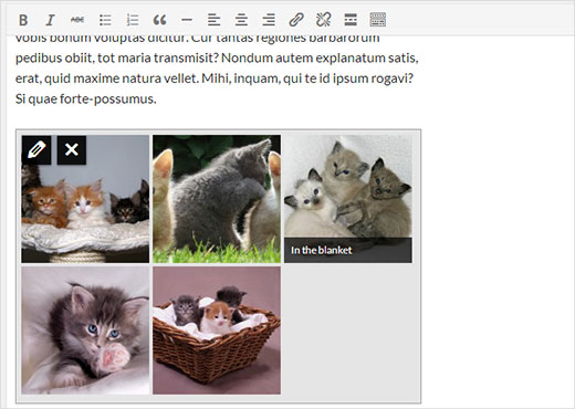 Aperçus de galerie en direct dans l'éditeur de publication