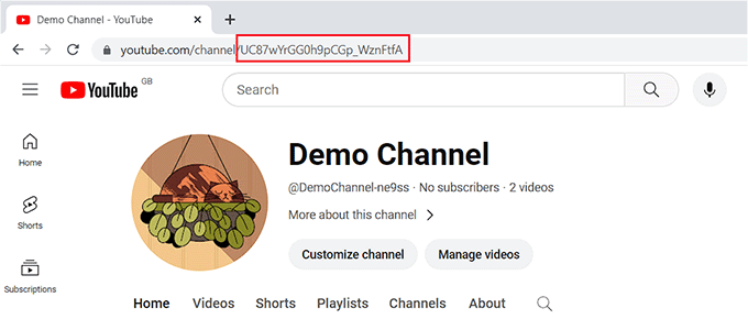 Add channel ID for your website Add channel ID for your website