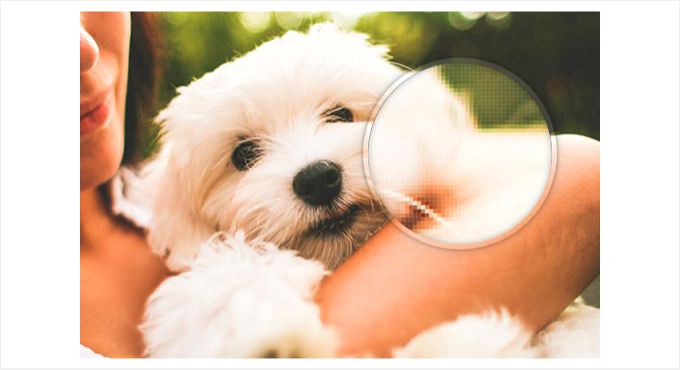 Pixel zoomed preview Pixel zoomed preview