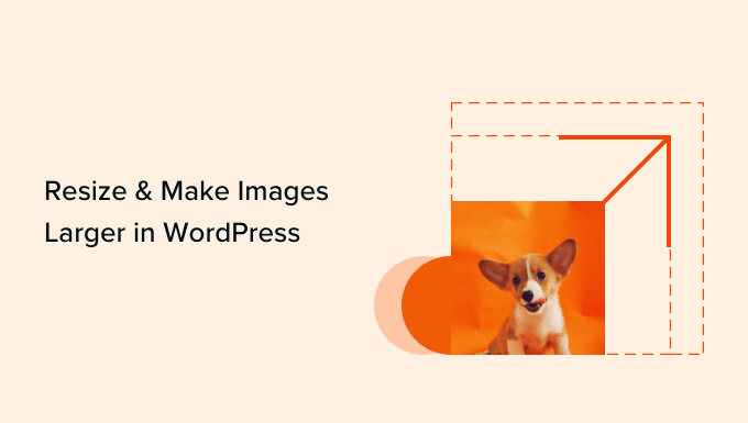 Resize make images larger in WordPress Resize make images larger in WordPress