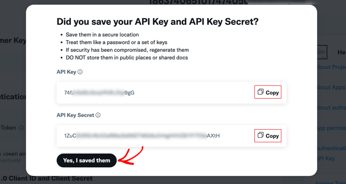 Copying the X app API key and API secret