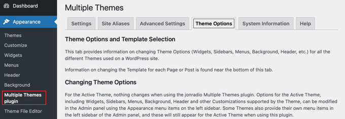 For More Advanced Theme Options, Take a Look at the Theme Options Tab For More Advanced Theme Options, Take a Look at the Theme Options Tab