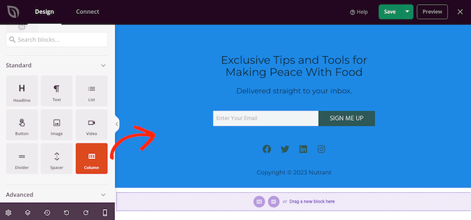 Adding columns to a page design using SeedProd Adding columns to a page design using SeedProd