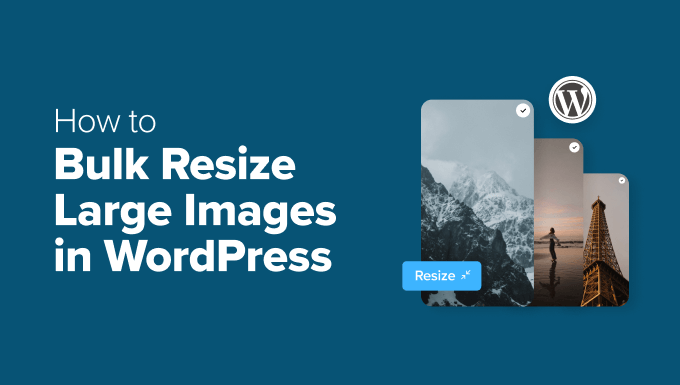 how-to-bulk-resize-large-images-in-wordpress-in-post How to bulk resize large images in WordPress in post