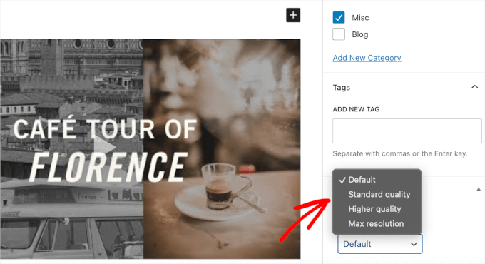 Controlling YouTube thumbnail quality for posts and pages Controlling YouTube thumbnail quality for posts and pages