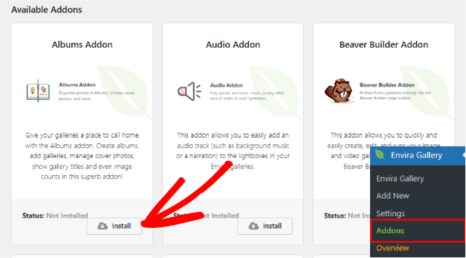 Envira addons Envira addons