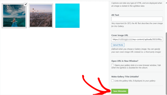 save metadata save metadata