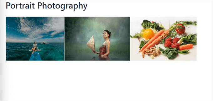 photo gallery with album example photo gallery with album example