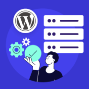 So bereinigen und optimieren Sie die WordPress-Datenbank