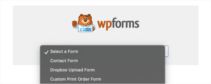 Choosing the form to add from the dropdown Choosing the form to add from the dropdown