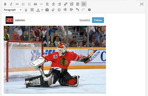 Tumblr auto embed in WordPress