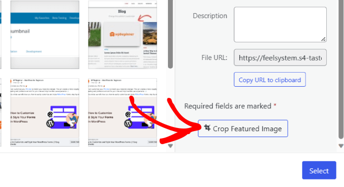 Ritaglia immagine in evidenza