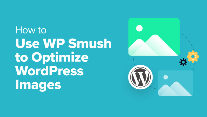 How to Use WP Smush How to Use WP Smush