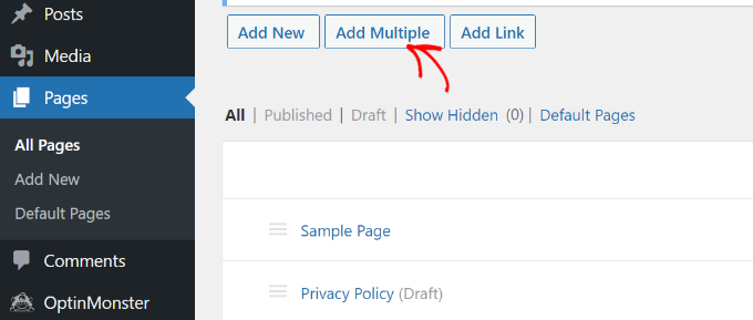 Klicken Sie auf die Schaltfläche Mehrere Seiten hinzufügen