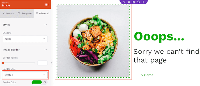 SeedProd kullanılarak oluşturulmuş noktalı bir kenarlık