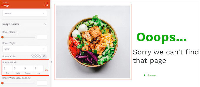 SeedProd ile bir görüntü kenarlığı genişliğini özelleştirme