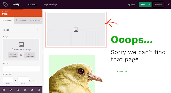 SeedProd ile Bir Görsele Kenarlık Ekleme