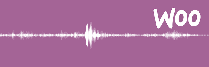 Music Player for WooCommerce Music Player for WooCommerce