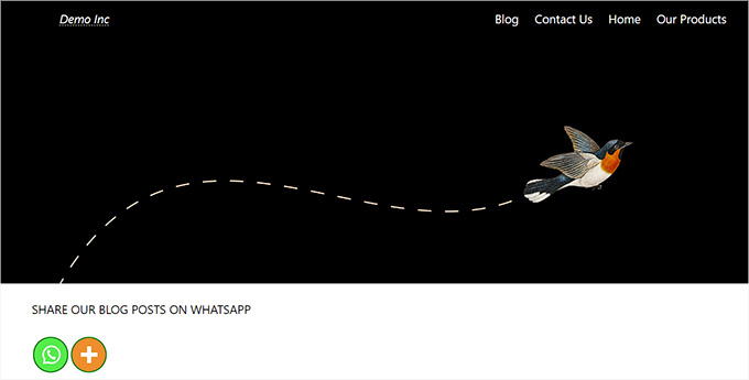 Anteprima del pulsante di condivisione WhatsApp in FSE