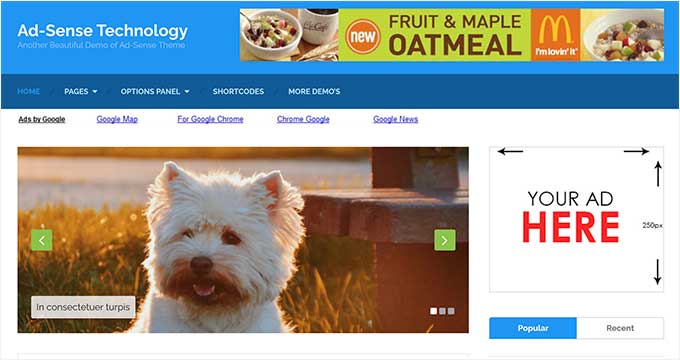 Ad-Sense theme Ad-Sense theme