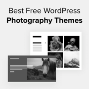 Melhores Temas Gratuitos de Fotografia para WordPress