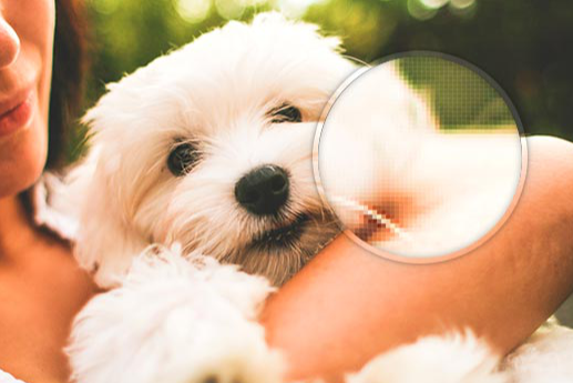 ピクセル拡大プレビュー